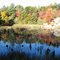 Muskoka Bay Golf Course