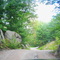 Sunny Lake road