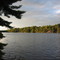 Sunny Lake - evening rays of sunshine