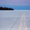 Lone tracks on Clearwater