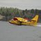Bomber on beauty bay
