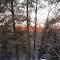 Sunrise in the Bush