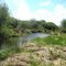 Bear Creek