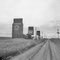 Dimsdale, Alberta, Canada