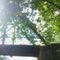 Bridge To Nowhere