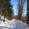 trail to wonderland