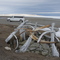 Thule archaelogical site