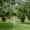 AveryIsland20070325PJA