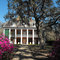 Shadows on the Teche