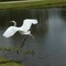 AveryIslandPJPJA_0203l