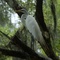 AveryIslandPJPJA_0212l