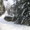 Mount Revelstoke ski jumping site
