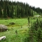 Revelstoke NP