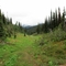 Revelstoke NP