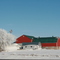 Frozen Farm