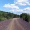 CNR Rail bed (abandoned)- E view between Capreol & Bowland's Bay, Wanapitei Lake- July 29, 07