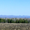 Stoke mountains from Sand hill