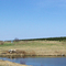 Sandhill
