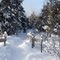 Sentier de raquettes