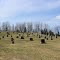 Sand Hill Protestant Cemetery