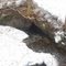 Deadman's cave