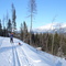Crosscountry Sking Sparwood BC.