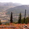 Fall in Sparwood