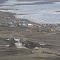 SACHS HARBOUR NWT