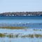 Life on the Water. Lake St. Clair, Michigan