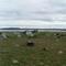 Tasiujaq cemetary