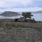 View from Qamanialuk Hill