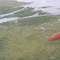 View of Finger Lake and Finger River