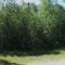 Bigwater Campground: 360° Panorama
