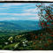 View from the Gray Canal trail north of Vernon