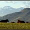 Switzerland???  No, it's Vernon, B.C.