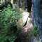 Path along Bruce's Caves