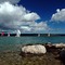 Regatta, Colpoys Bay