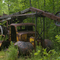 Old Truck