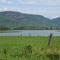 Lac Manny, Sheenboro
