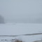 Snowy day