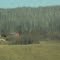 A Red Barn And Tranquil Wooded Hills In The Tawatinaw Valley Near Athabasca AB North of Edmonton Nov '11