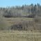 The Meandering Course Of The Tawatinaw River Through The Trees In The Tawatinaw Valley Near Athabasca AB North of Edmonton Nov '11