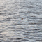 Lost over Round Lake