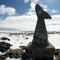 Whale Tail , whale Cove ,nu