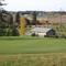 Alder Hills Golf #10 green
