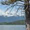 Lakelese Lake, Terrace BC, Coast Mountain View