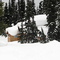 Whipped cream (Hudson Bay Mountain)
