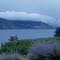 Okanagan Lake