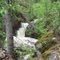 Turnbull Creek