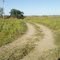 Pg 15 37 road side access